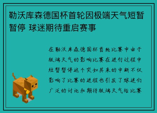 勒沃库森德国杯首轮因极端天气短暂暂停 球迷期待重启赛事